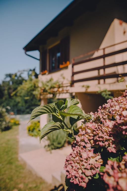 Holiday Home Castanea Praporcan Buitenkant foto